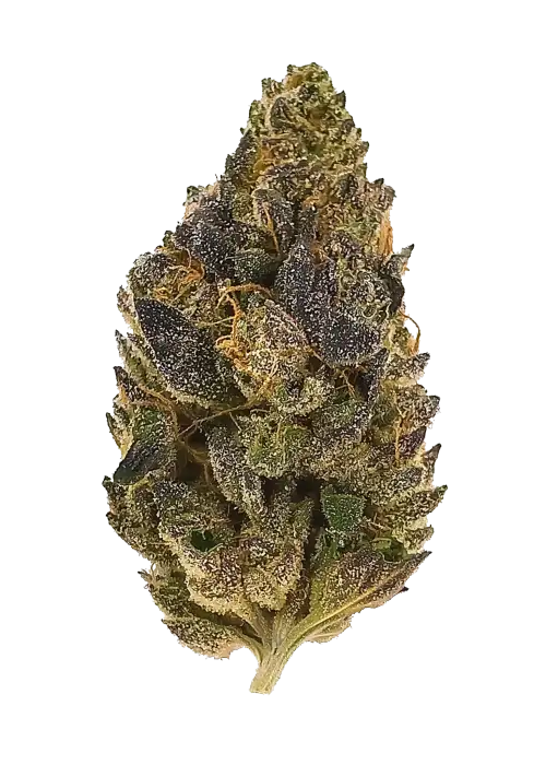 Lemon Cherry Popsicle